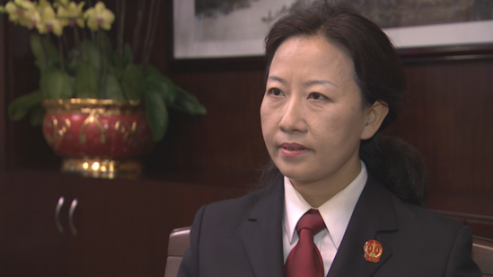 《小撒探会》对话广东省高级人民法院副院长谭玲 家事审判改革广东