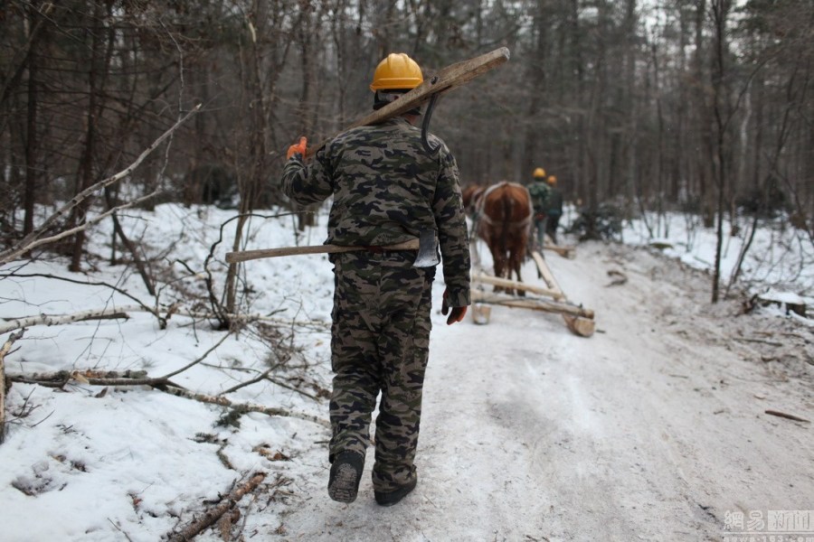 图片故事:最后的伐木工 - 人在上海 - 中国新闻画报
